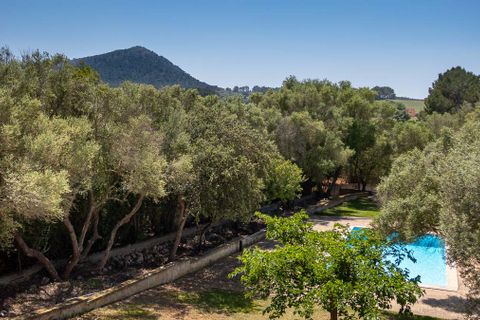 Villa i Algaida, Mallorca, Algaida - € 3.250.000 | Ref: 74024 - foto 5