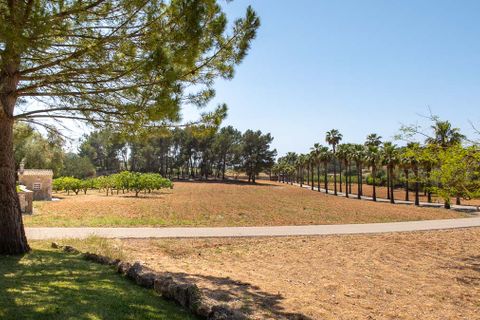 Villa i Algaida, Mallorca, Algaida - € 3.250.000 | Ref: 74024 - foto 21