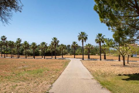 Villa i Algaida, Mallorca, Algaida - € 3.250.000 | Ref: 74024 - foto 22