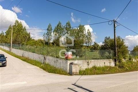 Erhvervsejendom i Ourem, Santarem, Ourem - € 900.000 | Ref: 235/N/01177 - foto 4