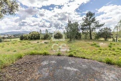 Erhvervsejendom i Ourem, Santarem, Ourem - € 900.000 | Ref: 235/N/01177 - foto 7