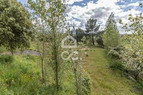 Erhvervsejendom i Ourem, Santarem, Ourem - € 900.000 | Ref: 235/N/01177 - foto 9
