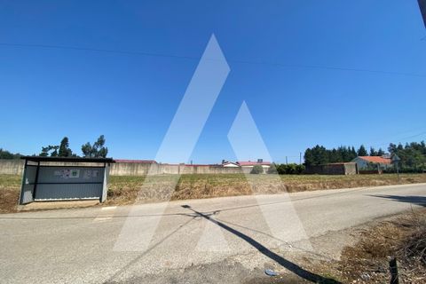 Helårsgrund i Anadia, Aveiro, Anadia - € 65.000 | Ref: 1050897/22 OB - foto 2