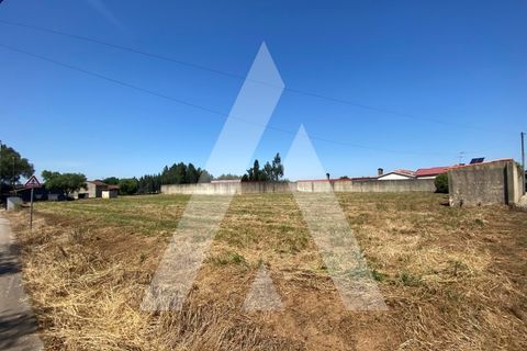 Helårsgrund i Anadia, Aveiro, Anadia - € 65.000 | Ref: 1050897/22 OB - foto 3