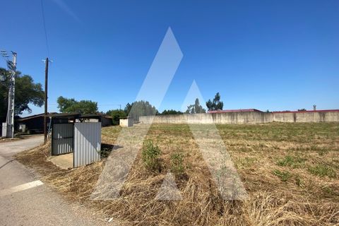 Helårsgrund i Anadia, Aveiro, Anadia - € 65.000 | Ref: 1050897/22 OB - foto 4