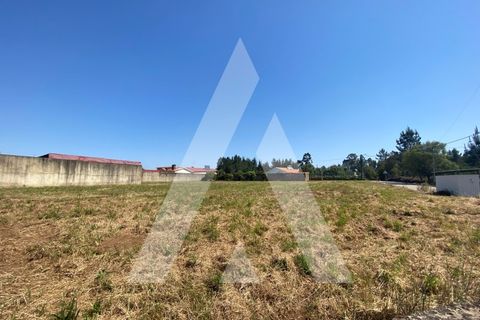 Helårsgrund i Anadia, Aveiro, Anadia - € 65.000 | Ref: 1050897/22 OB - foto 5