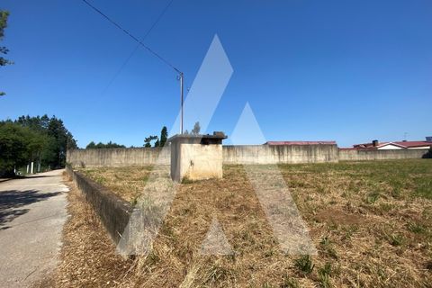 Helårsgrund i Anadia, Aveiro, Anadia - € 65.000 | Ref: 1050897/22 OB - foto 7