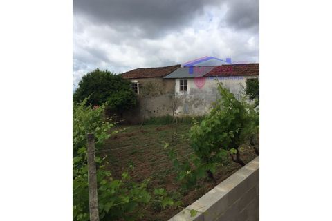 Landejendom i Serta, Castelo Branco, Serta - € 31.500 | Ref: HV136/0522 - foto 2