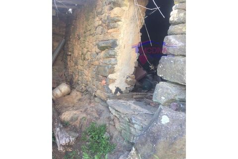 Landejendom i Serta, Castelo Branco, Serta - € 31.500 | Ref: HV136/0522 - foto 16