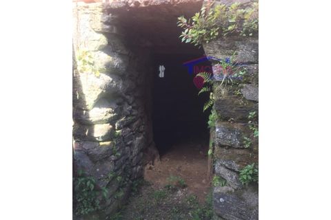 Landejendom i Serta, Castelo Branco, Serta - € 31.500 | Ref: HV136/0522 - foto 17