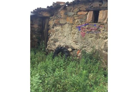 Landejendom i Serta, Castelo Branco, Serta - € 31.500 | Ref: HV136/0522 - foto 19