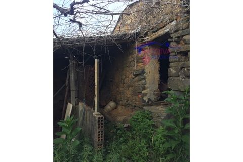 Landejendom i Serta, Castelo Branco, Serta - € 31.500 | Ref: HV136/0522 - foto 21