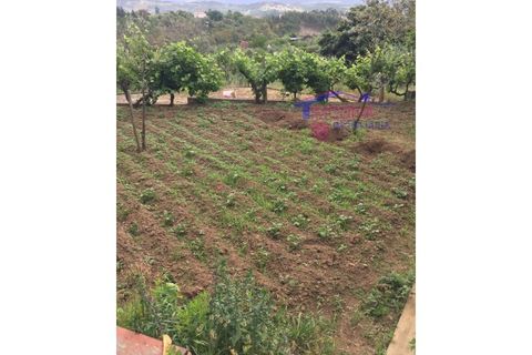 Landejendom i Serta, Castelo Branco, Serta - € 31.500 | Ref: HV136/0522 - foto 4