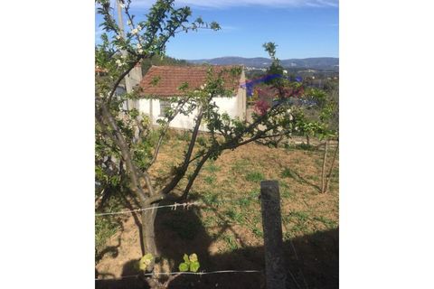 Landejendom i Serta, Castelo Branco, Serta - € 31.500 | Ref: HV136/0522 - foto 3