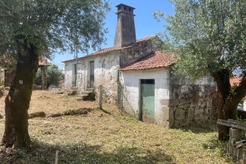 Villa i Ponte de Lima, Viana do Castelo, Ponte de Lima - € 89.500 | Ref: MDS3067 - foto 1