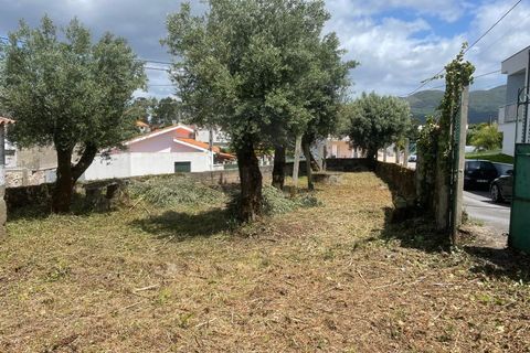 Villa i Ponte de Lima, Viana do Castelo, Ponte de Lima - € 89.500 | Ref: MDS3067 - foto 4