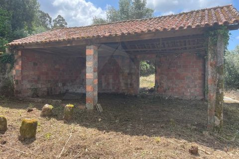 Villa i Ponte de Lima, Viana do Castelo, Ponte de Lima - € 89.500 | Ref: MDS3067 - foto 6