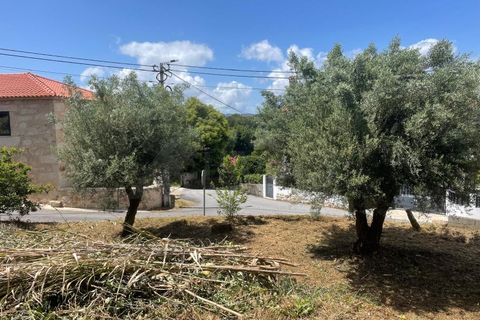 Villa i Ponte de Lima, Viana do Castelo, Ponte de Lima - € 89.500 | Ref: MDS3067 - foto 7