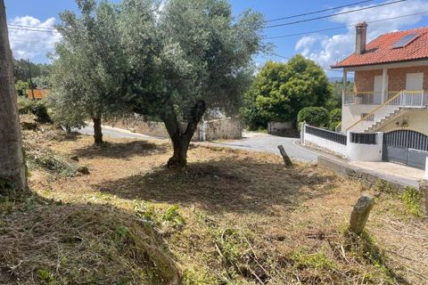 Villa i Ponte de Lima, Viana do Castelo, Ponte de Lima - € 89.500 | Ref: MDS3067 - foto 8