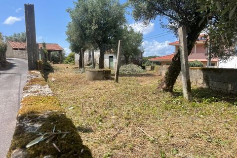 Villa i Ponte de Lima, Viana do Castelo, Ponte de Lima - € 89.500 | Ref: MDS3067 - foto 11