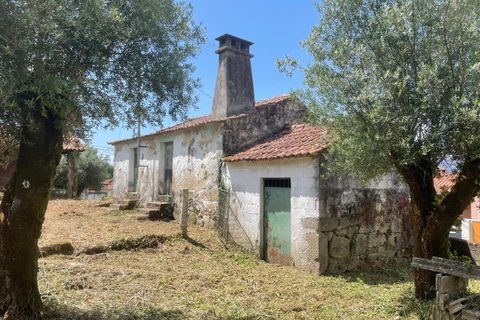 Villa i Ponte de Lima, Viana do Castelo, Ponte de Lima - € 89.500 | Ref: MDS3067 - foto 12