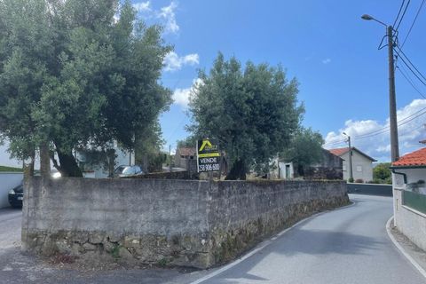 Villa i Ponte de Lima, Viana do Castelo, Ponte de Lima - € 89.500 | Ref: MDS3067 - foto 17