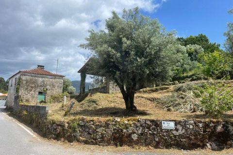 Villa i Ponte de Lima, Viana do Castelo, Ponte de Lima - € 89.500 | Ref: MDS3067 - foto 19