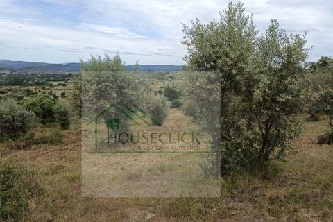 Helårsgrund i Belmonte, Castelo Branco, Belmonte - € 65.000 | Ref: House_164 - foto 4