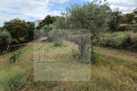 Helårsgrund i Belmonte, Castelo Branco, Belmonte - € 65.000 | Ref: House_164 - foto 6
