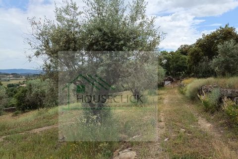 Helårsgrund i Belmonte, Castelo Branco, Belmonte - € 65.000 | Ref: House_164 - foto 7
