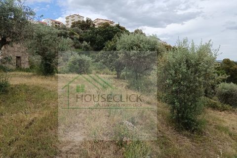 Helårsgrund i Belmonte, Castelo Branco, Belmonte - € 65.000 | Ref: House_164 - foto 8