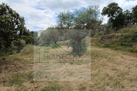 Helårsgrund i Belmonte, Castelo Branco, Belmonte - € 65.000 | Ref: House_164 - foto 9