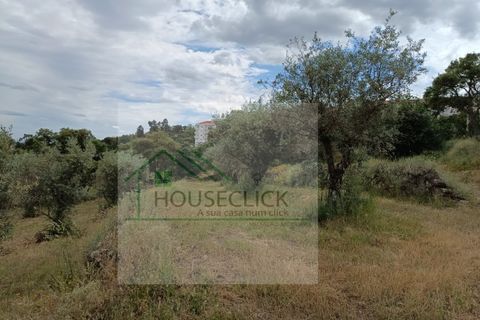 Helårsgrund i Belmonte, Castelo Branco, Belmonte - € 65.000 | Ref: House_164 - foto 11