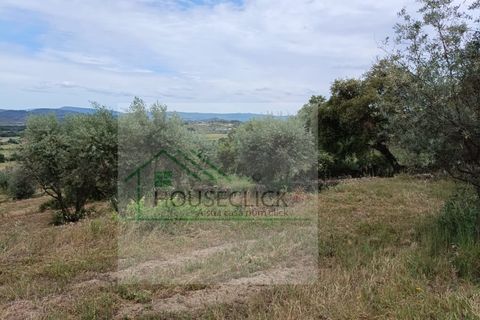 Helårsgrund i Belmonte, Castelo Branco, Belmonte - € 65.000 | Ref: House_164 - foto 12