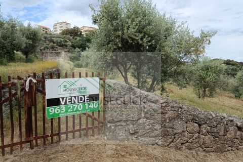 Helårsgrund i Belmonte, Castelo Branco, Belmonte - € 65.000 | Ref: House_164 - foto 13