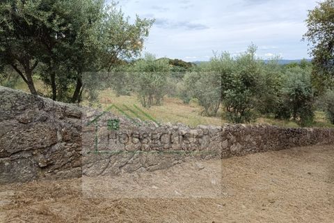 Helårsgrund i Belmonte, Castelo Branco, Belmonte - € 65.000 | Ref: House_164 - foto 14
