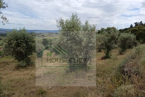 Helårsgrund i Belmonte, Castelo Branco, Belmonte - € 65.000 | Ref: House_164 - foto 15