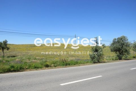 Helårsgrund i Aljustrel, Beja, Aljustrel - € 110.000 | Ref: BJ88357AJ - foto 5