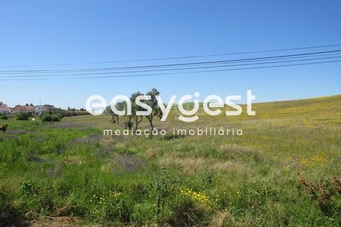 Helårsgrund i Aljustrel, Beja, Aljustrel - € 110.000 | Ref: BJ88357AJ - foto 7