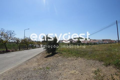 Helårsgrund i Aljustrel, Beja, Aljustrel - € 110.000 | Ref: BJ88357AJ - foto 10