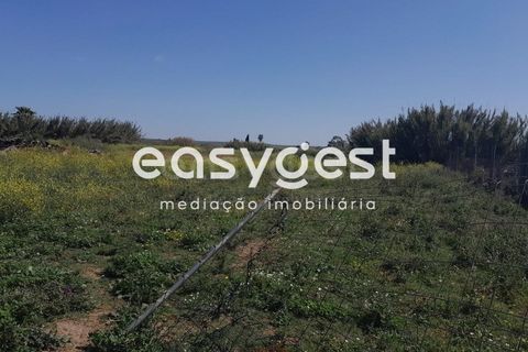 Helårsgrund i Beja, Beja, Beja - € 415.000 | Ref: BJ88375 - foto 2