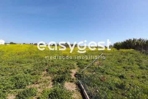 Helårsgrund i Beja, Beja, Beja - € 415.000 | Ref: BJ88375 - foto 3