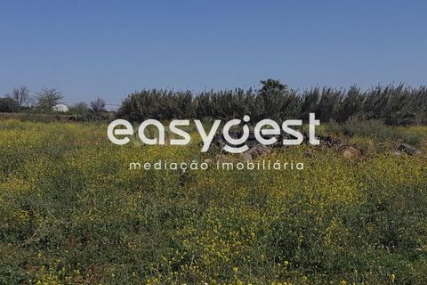 Helårsgrund i Beja, Beja, Beja - € 415.000 | Ref: BJ88375 - foto 6