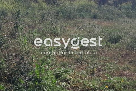 Helårsgrund i Beja, Beja, Beja - € 415.000 | Ref: BJ88375 - foto 11
