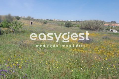 Helårsgrund i Beja, Beja, Beja - € 415.000 | Ref: BJ88375 - foto 23