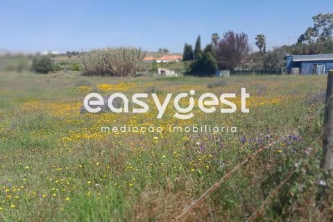 Helårsgrund i Beja, Beja, Beja - € 415.000 | Ref: BJ88375 - foto 24