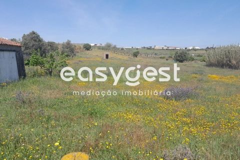 Helårsgrund i Beja, Beja, Beja - € 415.000 | Ref: BJ88375 - foto 25