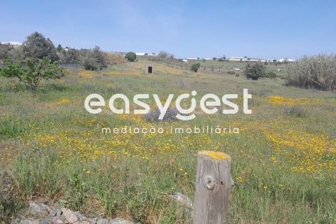 Helårsgrund i Beja, Beja, Beja - € 415.000 | Ref: BJ88375 - foto 27