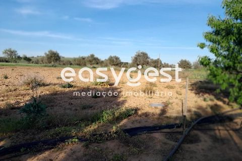 Helårsgrund i Beja, Beja, Beja - € 415.000 | Ref: BJ88375 - foto 33