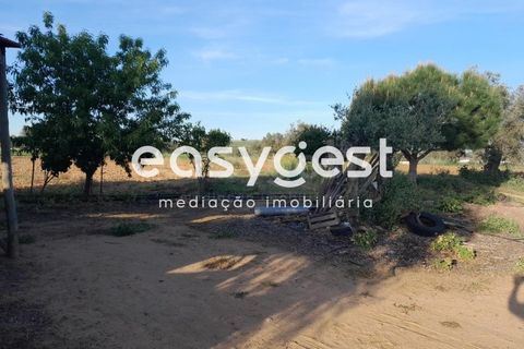 Helårsgrund i Beja, Beja, Beja - € 415.000 | Ref: BJ88375 - foto 40
